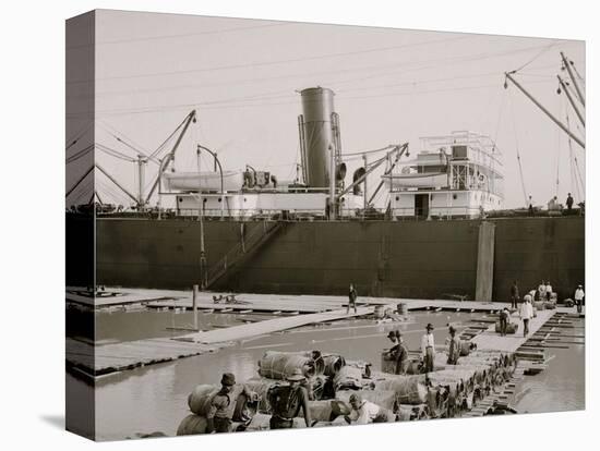 Steamer Loading Hides, New Orleans, La.-null-Stretched Canvas