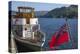 Steamer Raven at Glenridding Pier, Ullswater, Lake District National Park, Cumbria, England-James Emmerson-Premier Image Canvas