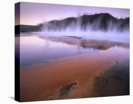 Steaming hot springs at Lower Geyser Basin, Yellowstone National Park, Wyoming-Tim Fitzharris-Stretched Canvas