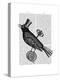 Steampunk Crow-Fab Funky-Stretched Canvas