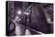 Steel Bridge Chicago BW-Steve Gadomski-Premier Image Canvas