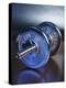 Steel Dumbbell for Workout-null-Premier Image Canvas