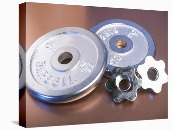 Steel Dumbbell Weights-null-Premier Image Canvas