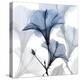 Steel Hibiscus-Albert Koetsier-Premier Image Canvas