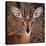 Steenbok, One of the Smallest Antelope in the World-Mathilde Guillemot-Premier Image Canvas