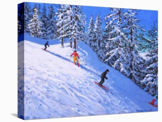 Steep slope,Les Arcs,France-Andrew Macara-Premier Image Canvas