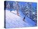 Steep slope,Les Arcs,France-Andrew Macara-Premier Image Canvas