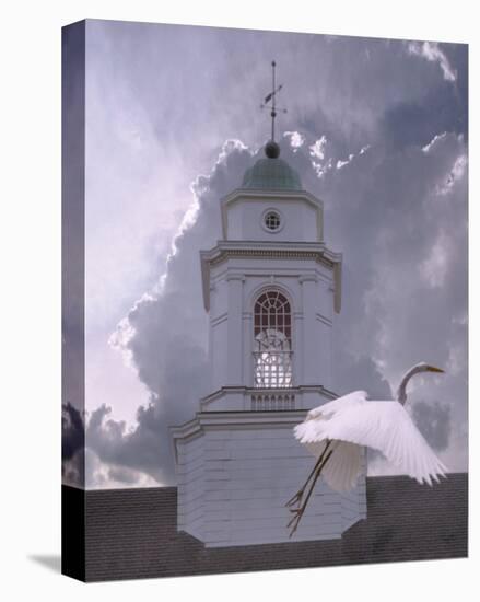 Steeple Flyby-Steve Hunziker-Stretched Canvas