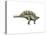 Stegosaurus Dinosaur-null-Stretched Canvas