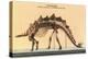 Stegosaurus Skeleton-null-Stretched Canvas