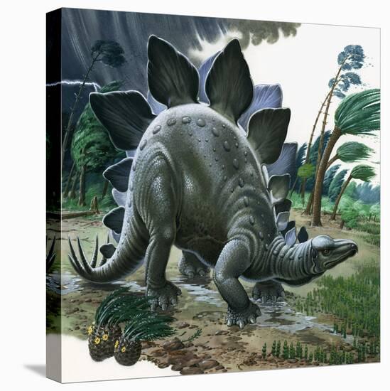 Stegosaurus-English School-Premier Image Canvas