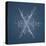 Stellar Dendrite Snowflake-null-Premier Image Canvas