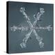 Stellar Dendrite Snowflake-null-Premier Image Canvas