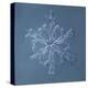 Stellar Dendrite Snowflake-null-Premier Image Canvas