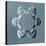 Stellar Plate Snowflake-null-Premier Image Canvas