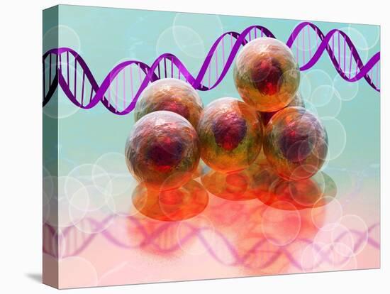 Stem Cell Research, Conceptual Artwork-Laguna Design-Premier Image Canvas