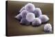 Stem Cells, SEM-Science Photo Library-Premier Image Canvas