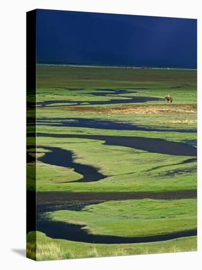 Steppeland, A Lone Horse Herder Out on the Steppeland, Mongolia-Paul Harris-Premier Image Canvas
