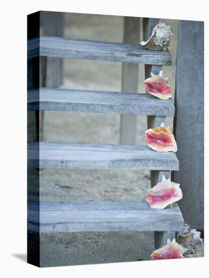 Steps, Caye Caulker, Belize-Russell Young-Premier Image Canvas