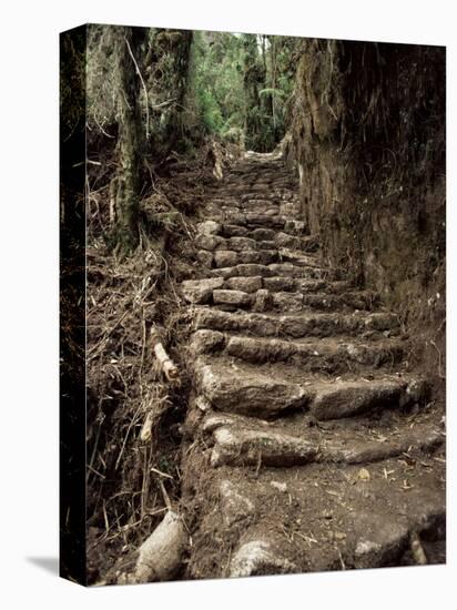 Steps on the Inca Trail, Peru, South America-Rob Cousins-Premier Image Canvas