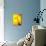 Stethoscope on Yellow Surface-null-Premier Image Canvas displayed on a wall