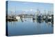 Steveston Scenic II-Dana Styber-Premier Image Canvas