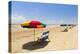 Stewart Beach, Galveston, Texas, United States of America, North America-Kav Dadfar-Premier Image Canvas