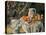 Still-Life, 1895-Paul Cézanne-Premier Image Canvas