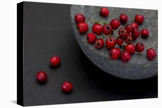 Still Life, Berries, Red, Bowl, Grey, Black, Still Life-Andrea Haase-Premier Image Canvas