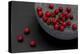 Still Life, Berries, Red, Bowl, Grey, Black, Still Life-Andrea Haase-Premier Image Canvas