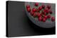 Still Life, Berry, Red, Bowl, Gray, Black, Still Life-Andrea Haase-Premier Image Canvas