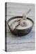 Still Life, Bowl, Sand, Driftwood, Snail Shell-Andrea Haase-Premier Image Canvas