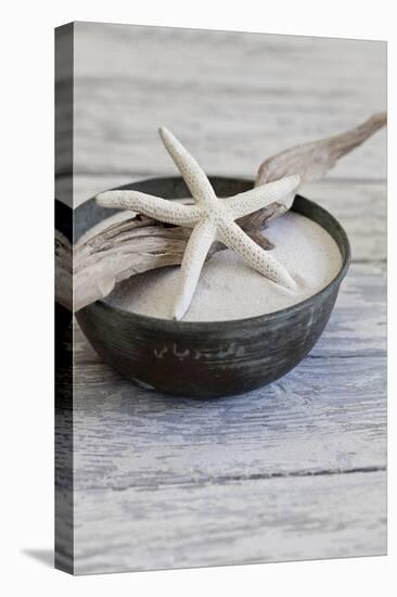 Still Life, Bowl, Sand, Driftwood, Starfish-Andrea Haase-Premier Image Canvas