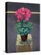 Still Life Cyclamen-Christopher Ryland-Premier Image Canvas