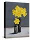 Still Life Daffodils-Christopher Ryland-Premier Image Canvas