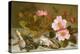 Still Life Depicting Flowers, Shells and a Dragonfly-Balthasar van der Ast-Premier Image Canvas