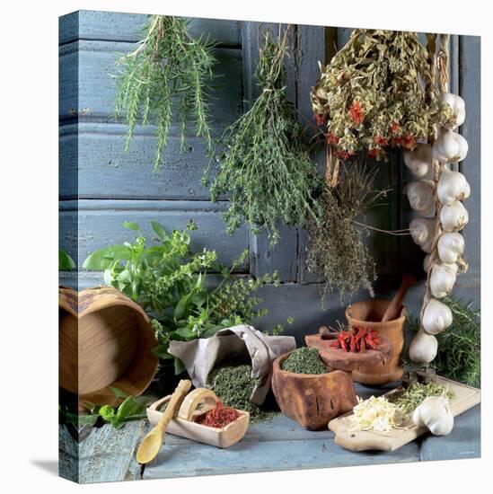 Still Life: Drying Herbs and Spices-null-Premier Image Canvas