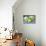 Still Life, Green, Bird Houses, Heart, Bowl, Cherry Blossoms-Andrea Haase-Premier Image Canvas displayed on a wall