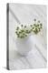 Still Life, Ivy Blossoms, Green, Vase, White-Andrea Haase-Premier Image Canvas