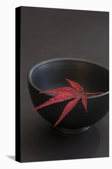 Still Life, Maple Leaf, Red, Bowl, Black, Still Life-Andrea Haase-Premier Image Canvas