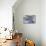 Still Life, Maritime, Blue, Flotsam and Jetsam, Starfish, Material, Text-Andrea Haase-Premier Image Canvas displayed on a wall