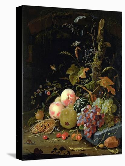 Still Life of a Forest Floor-Abraham Mignon-Premier Image Canvas