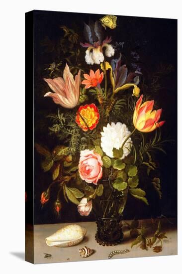 Still Life of Flowers in a Roemer with Two Shells (Oil on Panel)-Balthasar van der Ast-Premier Image Canvas