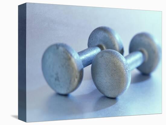 Still Life of Free Weights-Chris Trotman-Premier Image Canvas