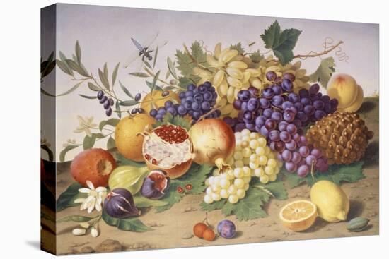 Still Life of Grapes, Pineapple, Figs and Pomegranates-Adolf Senff-Premier Image Canvas