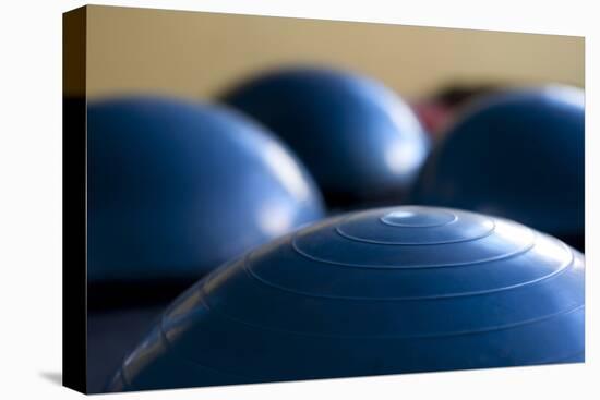 Still Life of Gym Exercise Ball-Matt Freedman-Premier Image Canvas