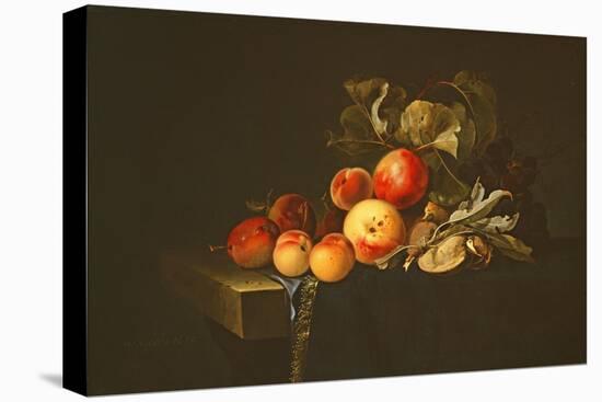 Still Life of Plums, Peaches, Almonds and Grapes on a Draped Ledge, 1650-Willem van Aelst-Premier Image Canvas