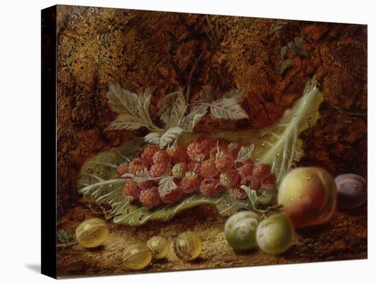 Still Life of Raspberries, Gooseberries, Peach and Plums on a Mossy Bank-Oliver Clare-Premier Image Canvas