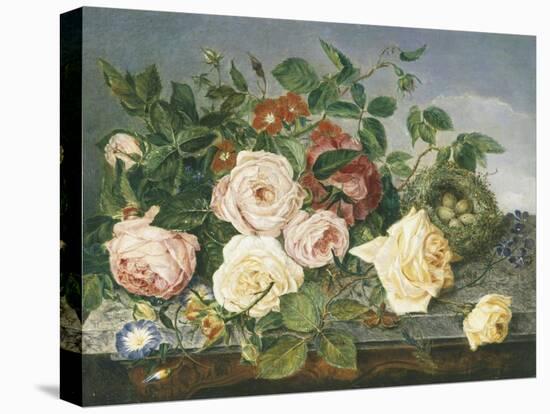 Still Life of Roses and Morning Glory-Eloise Harriet Stannard-Premier Image Canvas