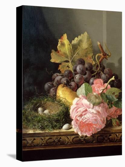 Still Life, Roses, Fruit and Bird's Nest-Edward Ladell-Premier Image Canvas